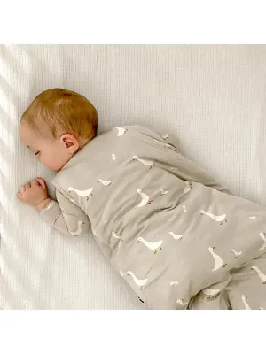 Goose Sleep Bag 2.5 Tog