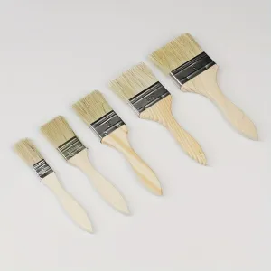 Wooden handle paint brushes with assorted bristle sizes and uses